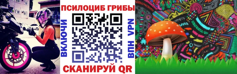 Купить где  Минусинск  Псилоцибиновые грибы прущие грибы 